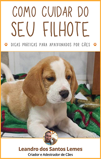 Como cuidar do seu filhote