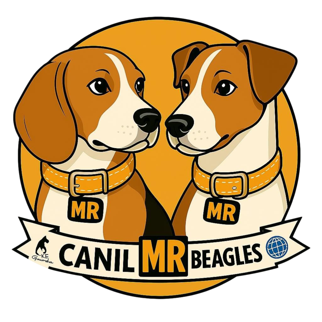 Canil Mr Beagles